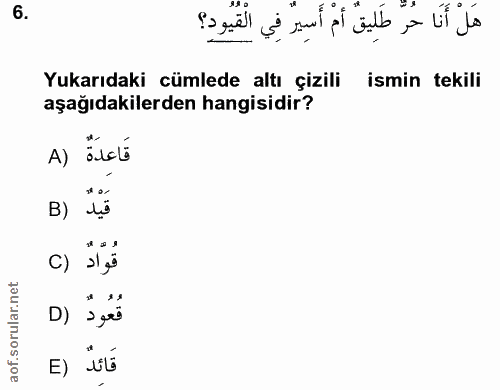 6. soru: هَلْ أَنَا حُرْ طَلِيق أَمْ أَسِيرٌ فِي الْقِيُودِ؟ Yukarıdaki cümlede altı çizili ismin tekili aşağıdakilerden hangi…