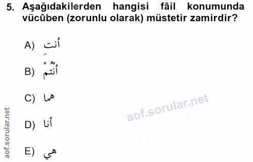 5. soru: Aşağıdakilerden hangisi fâil konumunda vücüben (zorunlu olarak) müstetir zamirdir? A) cil B) C) Lo® D) LÍ E) ç