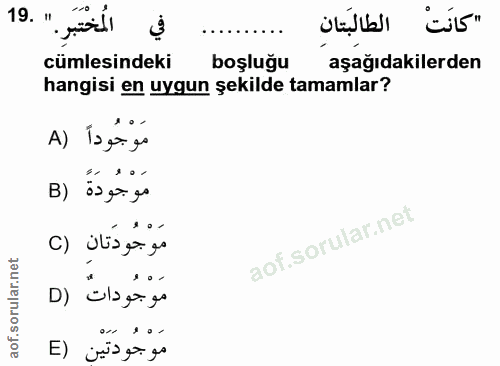 19. soru: ". Joill cümlesindeki boşluğu aşağıdakilerden hangisi en uygun şekilde tamamlar? A) Ísga go B) مَوْجُودَةً موجودتان я…