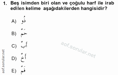 1. soru: Beş isimden biri olan ve çoğulu harf ile irab edilen kelime aşağıdakilerden hangisidir? A) B) C) D) E) فَمٌ