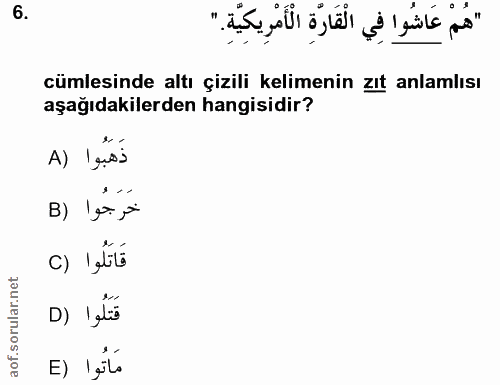 6. soru: "هُمْ عَاشُوا فِي الْقَارَّةِ الْأَمْرِيكِيَّةِ." cümlesinde altı çizili kelimenin zıt anlamlısı aşağıdakilerden hang…