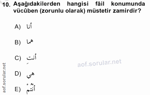 10. soru: Aşağıdakilerden hangisi fâil konumunda vücüben (zorunlu olarak) müstetir zamirdir? A) Li B) Lo c) cil D) ç' E) pül