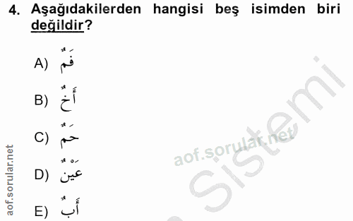 4. soru: Aşağıdakilerden hangisi beş isimden biri değildir? A) B) C) aof.sorylak, few *o- D)
