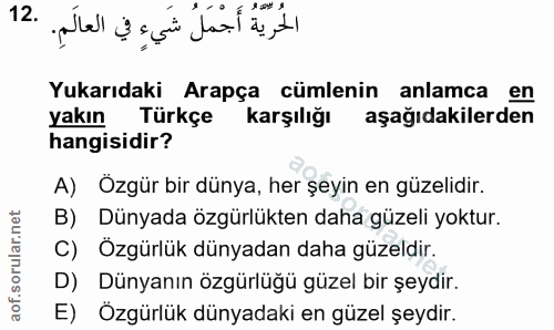 12. soru: الحرية أجمل شيء في العالم. و ٢ ٢ Yukarıdaki Arapça cümlenin anlamca en yakın Türkçe karşılığı aşağıdakilerden hangisi…
