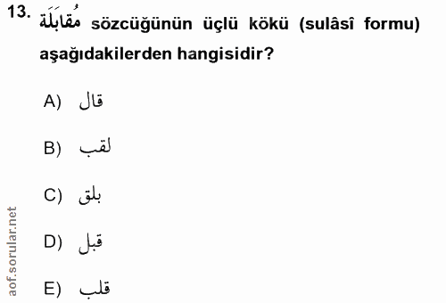 13. soru: ales sözcüğünün üçlü kökü (sulâsi formu) aşağıdakilerden hangisidir? A) JE C) ü! D) Ji E) _š
