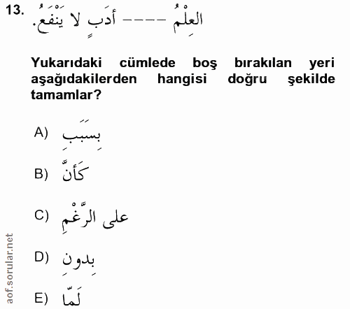 13. soru: أدب لا ينفع. я - 0- العِلْمُ Yukarıdaki cümlede boş bırakılan yeri aşağıdakilerden hangisi doğru şekilde tamamlar? بِ…