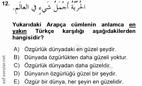 12. soru: الحُريةُ أَجْمَلُ شَيءٍ في العالَمِ. لا بيند و Yukarıdaki Arapça cümlenin anlamca en yakın Türkçe karşılığı aşağıdaki…