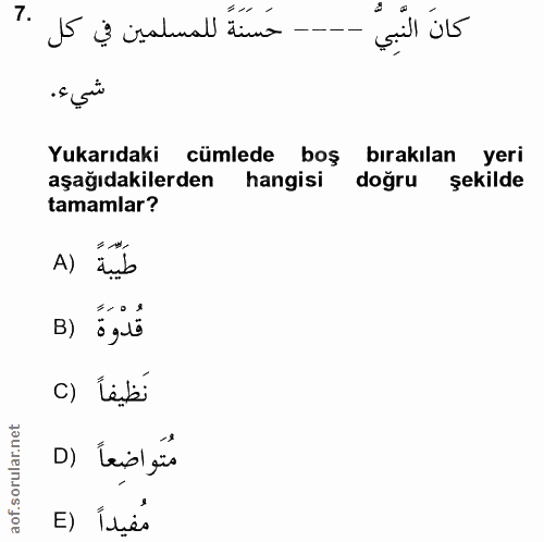 7. soru: حسنةً للمسلمين في كل كانَ النّبِيّ شيء. Yukarıdaki cümlede boş bırakılan yeri aşağıdakilerden hangisi doğru şekilde t…