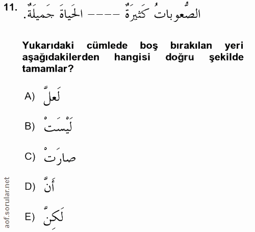 11. soru: الحَياةَ جَمِيلَةٌ. الصُّعوباتُ كَثيرَةٌ Yukarıdaki cümlede boş bırakılan yeri aşağıdakilerden hangisi doğru şekilde…