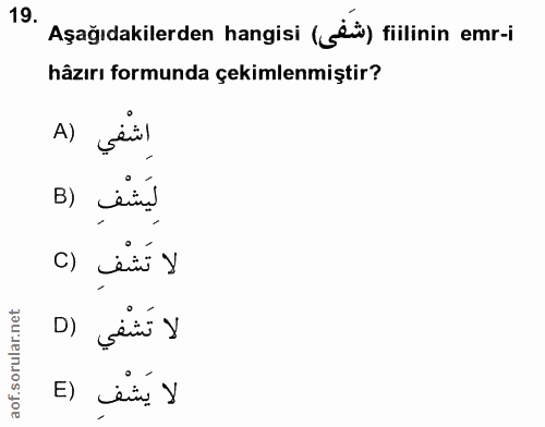 19. soru: Aşağıdakilerden hangisi (süi) fiilinin emr-i hâzırı formunda çekimlenmiştir? A) sairl B) senn!, الا تَشْفِ () لا تَشْ…