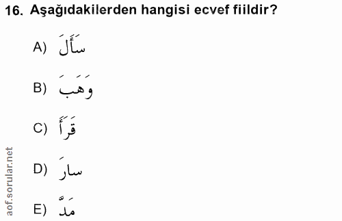 16. soru: Aşağıdakilerden hangisi ecvef fiildir? A) Ju B) Log c) 1,5 سار (D E) is