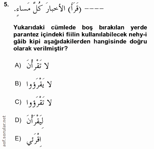 5. soru: (قَرَأَ) الأخبارَ كُلَّ مَساءِ. Yukarıdaki cümlede boş bırakılan yerde parantez içindeki fiilin kullanılabilecek nehy…