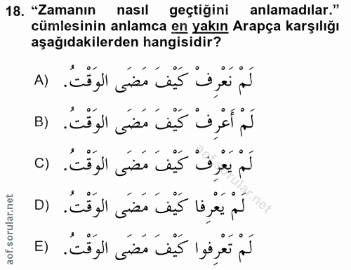 18. soru: "Zamanın nasıl geçtiğini anlamadılar." cümlesinin anlamca en yakın Arapça karşılığı aşağıdakilerden hangisidir? لَمْ…