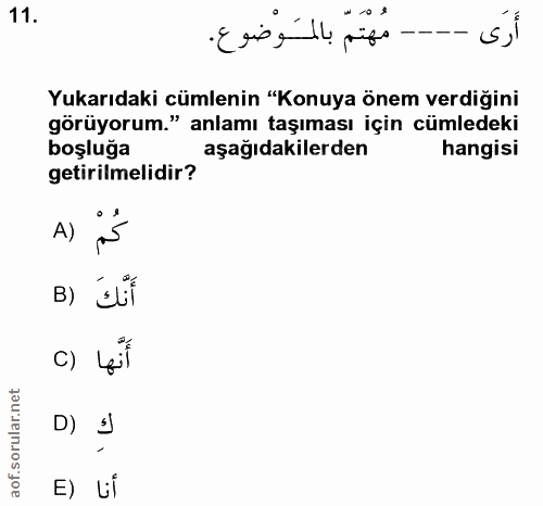 11. soru: مهتم بالموضوع. -- s,i Yukarıdaki cümlenin "Konuya önem verdiğini görüyorum." anlamı taşıması için cümledeki boşluğa a…