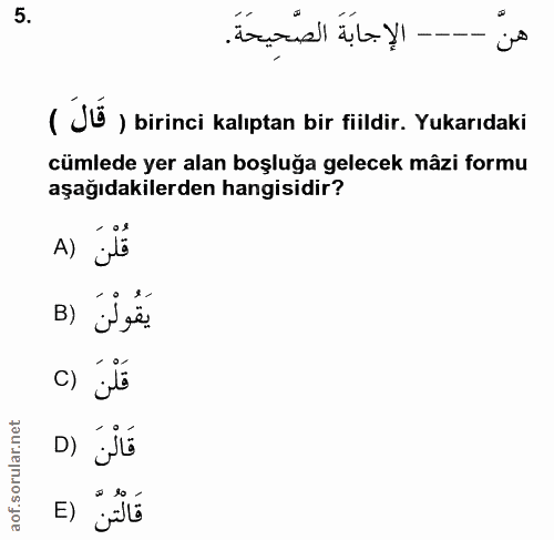 5. soru: هنَّ - الإجابَةَ الصَّحِيِحَةَ. ( Jü , birinci kalıptan bir fiildir. Yukarıdaki cümlede yer alan boşluğa gelecek mâzi…
