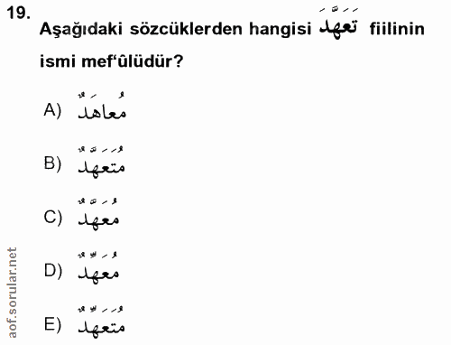 19. soru: Aşağıdaki sözcüklerden hangisi fe fiilinin ismi mef'ülüdür? A) doles C) Ifas D) efes E) Ifri