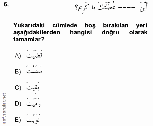 6. soru: - عُطْلَتَكَ يا كَرِيم؟ Yukarıdaki cümlede boş bırakılan yeri aşağıdakilerden hangisi doğru olarak tamamlar? A) قَضَي…