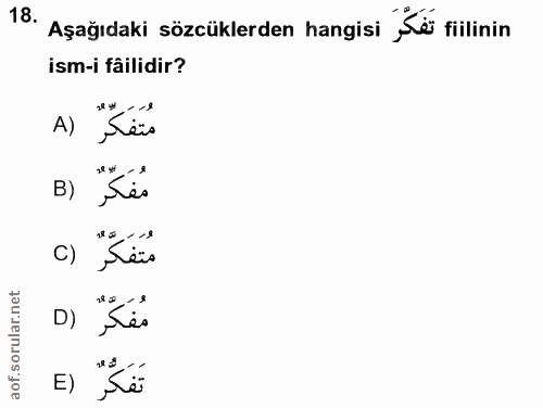 18. soru: Aşağıdaki sözcüklerden hangisi "Kei filinin ism-i fâilidir? A) B) مفكر : 18 تفكّ قن 8م D) 8 З E)