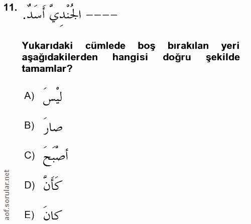 11. soru: 18 - Yukarıdaki cümlede boş bırakılan yeri aşağıdakilerden hangisi doğru şekilde tamamlar? A) B) jo DI JE