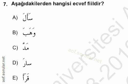 7. soru: Aşağıdakilerden hangisi ecvef fiildir? A) JÍ B) isg C) is D) „lav ver E) (,§