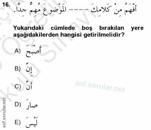 16. soru: Yukarıdaki cümlede boş bırakılan yere aşağıdakilerden hangisi getirilmelidir? A) zuo! B) Ü! c) ji D) ils E) jud