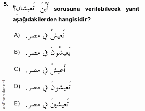 5. soru: Süline l sorusuna verilebilecek yanıt aşağıdakilerden hangisidir? نعيش في مصر. (A يَعيشُونَ في مصر . (B أَعيشُ في مصر…