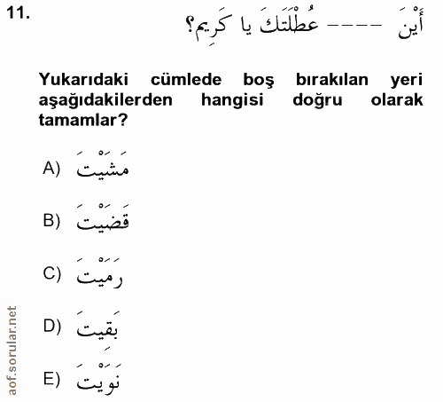 11. soru: عُطْلَتَكَ يا كَرِيم؟ Yukarıdaki cümlede boş bırakılan yeri aşağıdakilerden hangisi doğru olarak tamamlar? A) Emino B…