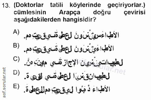 13. soru: (Doktorlar tatili köylerinde geçiriyorlar.) cümlesinin Arapça doğru çevirisi aşağıdakilerden hangisidir? A) B) C) D) E)