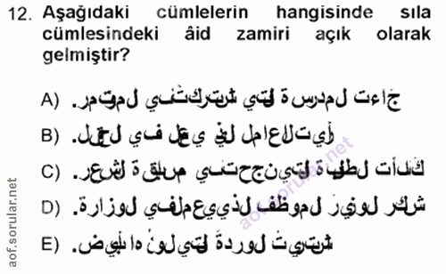 12. soru: Aşağıdaki/ cümlelerin hangisinde sıla cümlesindeki âid zamiri açık olarak gelmiştir? خاءت لمدرسة لتي شرترك ثني لمت مر…