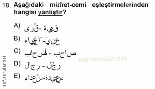 18. soru: Aşağıdaki müfret-cemi eşleştirmelerinden hangisi yanlıştır? A) قية -قرى غنيّ- "أغهاء (B c) yend-yelu D) Ja - Ja) E) س…