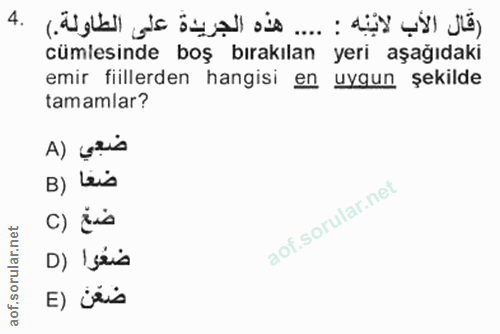 4. soru: cümlesinde boş bırakılan yeri aşağıdaki emir fiillerden hangisi en uygun şekilde tamamlar? A) çais B) Leis c) ¿is D)…