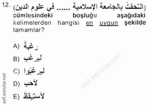 12. soru: في علوم الدين) .12 cümlesindeki boşluğu aşağıdaki kelimelerden hangisi en uygun şekilde tamamlar? A) is; ليرغب (B .so…