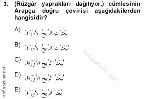 3. soru: (Rüzgâr yaprakları dağıtıyor.) cümlesinin Arapça doğru çevirisi aşağıdakilerden hangisidir? A) sorular.
