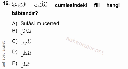 16. soru: Etis cistes cümlesindeki fiil hangi bâbtandır? A) Sülâsî mücerred B) Jélés C) Jë D) less E) les