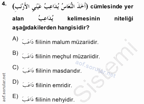 4. soru: (st ale jel täl) cümlesinde yer alan يُدَاعِبُ kelimesinin niteliği aşağıdakilerden hangisidir? A) Çels filinin malum…