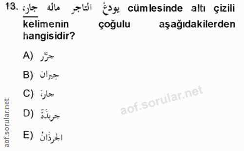 13. soru: التاجر ماله جار، .13 se cümlesinde altı çizili kelimenin çoğulu aşağıdakilerden hangisidir? A) „* جيران (B C) j4 جريد…