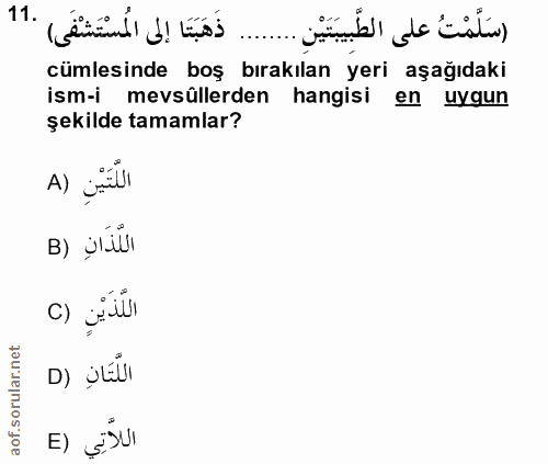 11. soru: ذَهَبَنَا إلى المسْتَشْفَى) .11 اسَلَّمْتُ على الطَّبِيبَتَيْنِ .... cümlesinde boş bırakılan yeri aşağıdaki ism-i me…
