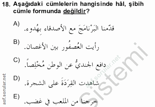 18. soru: Aşağıdaki cümlelerin hangisinde hâl, şibih cümle formunda değildir? A) قدّمنا البَرْنامَجَ مع الأصدقاء بهُدوء. B) رأي…