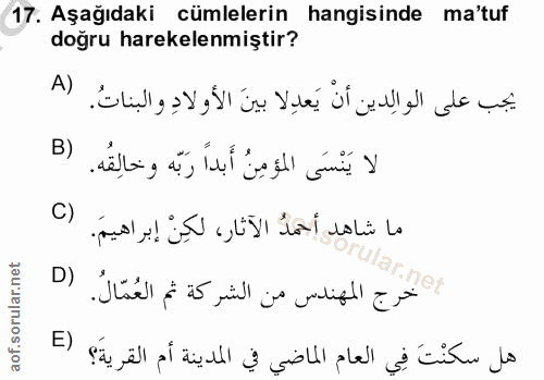 17. soru: Aşağıdaki cümlelerin hangisinde ma'tuf doğru harekelenmiştir? A) يجب على الوالِدين أنْ يَعدِلا بينَ الأولادِ والبناتُ…