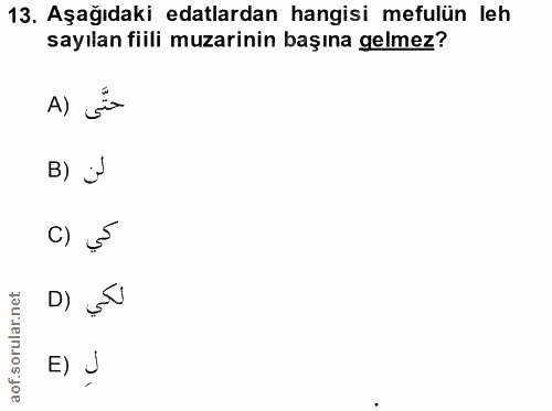 13. soru: Aşağıdaki edalardan hangisi mefulün leh sayılan fiili muzarinin başına gelmez? حتَّى (A B) j C) كي D) E) J