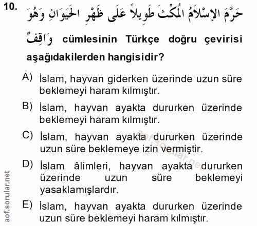 10. soru: ily cümlesinin Türkçe doğru çevirisi aşağıdakilerden hangisidir? A) İslam, hayvan giderken üzerinde uzun süre bekleme…