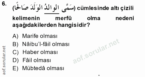 6. soru: (Ú Lo Ú | NI l' ga) cümlesinde altı çizili kelimenin merfû olma nedeni aşağıdakilerden hangisidir? A) Marife olması B…