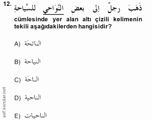12. soru: ذَهَبَ رجلٌ إلى بعضِ النَّوَاحي للسِّياحةِ .12 cümlesinde yer alan altı çizili kelimenin tekili aşağıdakilerden hangi…