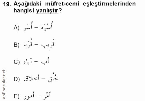 19. soru: Aşağıdaki müfret-cemi eşleştirmelerinden hangisi yanlıştır? A) jul - öjul B) V5 - 43 أب - آباء (C D) isti - ili E) Jo…