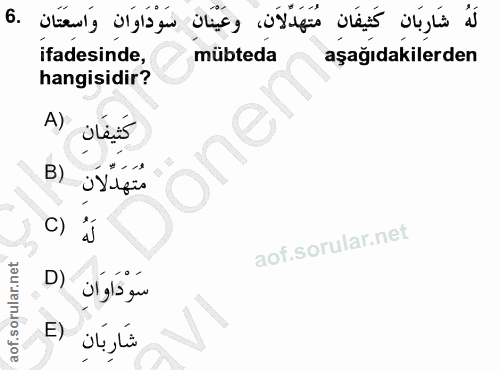 6. soru: لَهُ شَارِبَانِ كَثِيفَانِ مُتَهَدَّلَاَنِ، وعَيْنَانِ سَوْدَاوَانِ وَاسِعَتَانِ .6 ifadesinde, mübteda aşağıdakilerd…