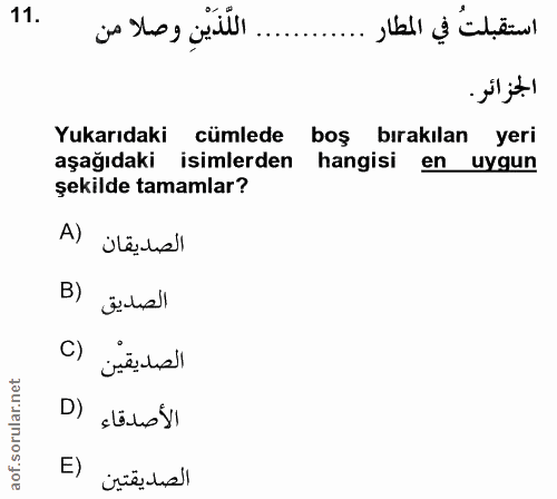 11. soru: ..... اللَّذَيْنِ وصلا من استقبلت في المطار .. الجزائر. Yukarıdaki cümlede boş bırakılan yeri aşağıdaki isimlerden ha…