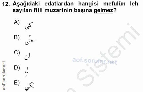 12. soru: Aşağıdaki edalardan hangisi mefulün leh sayılan fiili muzarinin başına gelmez? A) B) em C) aof sorułar net D) E)