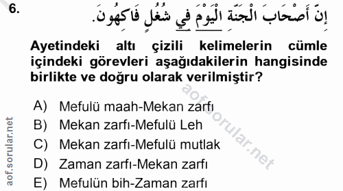 6. soru: شُغُلِ فَاكِهُوْنَ. Ayetindeki altı çizili kelimelerin cümle içindeki görevleri aşağıdakilerin hangisinde birlikte ve…