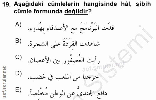 19. soru: Aşağıdaki cümlelerin hangisinde hâl, şibih cümle formunda değildir? A) قدّمنا البرنامج مع الأصدقاء بِهُدوء. B) شاهدت…