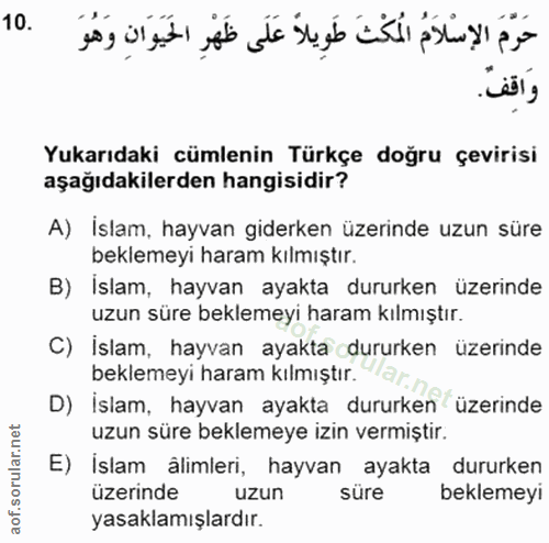 10. soru: Yukarıdaki cümlenin Türkçe doğru çevirisi aşağıdakilerden hangisidir? A) İslam, hayvan giderken üzerinde uzun süre be…